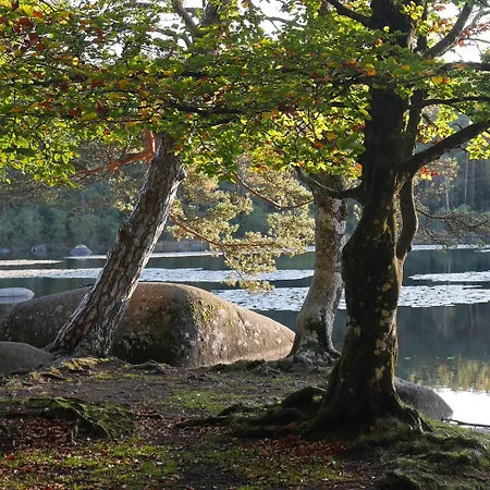 Domaine Le Castelet Oda ve Kahvaltı