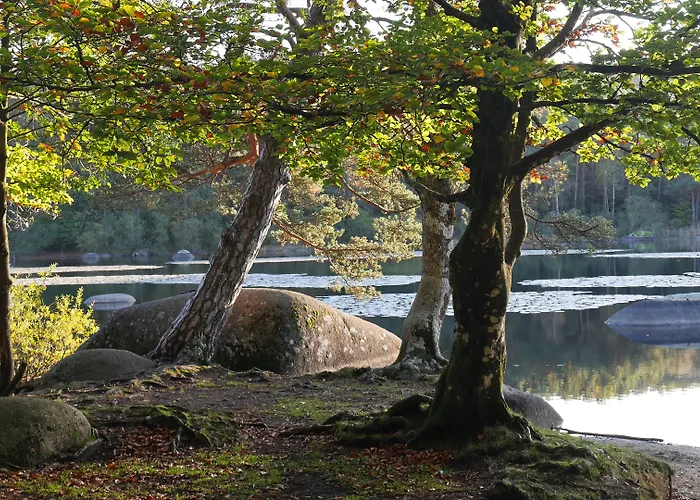 Domaine Le Castelet Bed & Breakfast